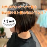 天然100％ヘナで染め続けると髪の毛はどうなるのか？画像でご紹介。