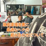 頭皮環境改善に最適なヘナの組み合わせについて