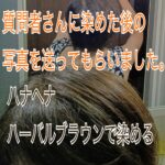 質問者さんに染めた後の写真を送ってもらいました。