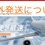 ヘナ海外発送(ヨーロッパ)クレジット決済はできますか？海外からの購入の場合の支払い方法