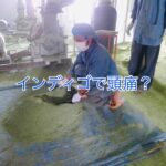 インディゴで頭痛が・・・