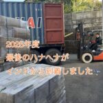 2025年最後のハナヘナがインドから到着しました！