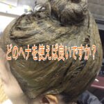 初めてヘナを使用します。どれを購入すれば良いですか？